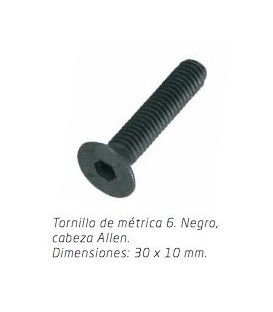6MM TORNILLO (30 x 10mm)