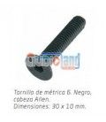 6MM TORNILLO (30 x 10mm)
