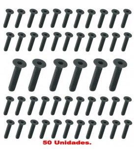 (50U) TORNILLO 6mm (30 x 10mm)
