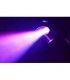 WILDFLOWER LED (GOBOS)