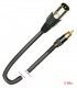 5 Mts / MINI-JACK ESTÉREO (3,5mm) A XLR (Macho) 