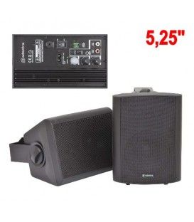 BC5 (PAREJA AMPLIFICADA 5,5")