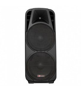 2 x 15" (1200W / 600 WRMS) (USB / SD / PANTALLA)