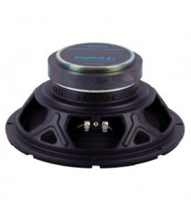10CMV2 (500W / 250 WRMS)