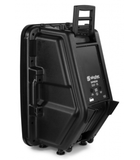 SP-1500 (600W / 300 WRMS / 15")