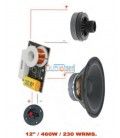 KIT WOFER-12" (460W / 230 WRMS) 