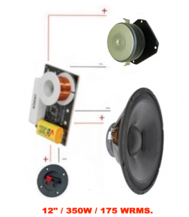 KIT QTX-12" (350W / 175 WRMS) 