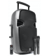 ACTIVO 15" + BATERÍA 700W / 350 WRMS (2 MICROS / USB / BLUETOOTH / SD) 220 Y 12V