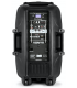 ACTIVO 15" + BATERÍA 700W / 350 WRMS (2 MICROS / USB / BLUETOOTH / SD) 220 Y 12V