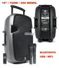 ACTIVO 15" + BATERÍA 700W / 350 WRMS (2 MICROS / USB / BLUETOOTH / SD) 220 Y 12V