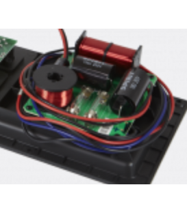 DAS F-ACTION 515 (ACTION-15 / WOFER 15" Hasta 700W / 350WRMS + MOTOR Hasta 100W / 50 WRMS) 
