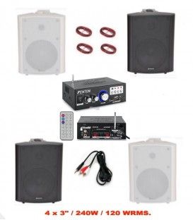 4 x 3 1/2" FM / BLUETOOTH / USB / MANDO A DIST. (100W / 50WRMS)  (ADASTRA + SKYTRONIC) 