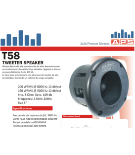 T58 (400W / 200 WRMS) 