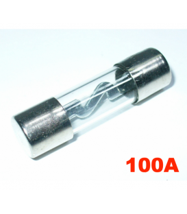 FUSIBLE 100A (XL/AGU) 