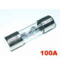 FUSIBLE 100A (XL/AGU) 