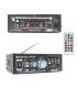 4 x 3 1/2" FM / USB / MANDO A DIST. (100W / 50WRMS)  (ADASTRA + SKYTRONIC) 