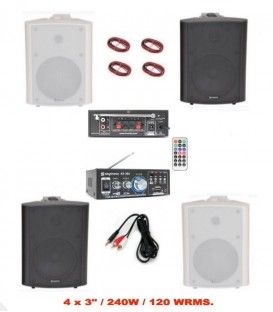 4 x 3 1/2" FM / BLUETOOTH / USB / MANDO A DIST. (100W / 50WRMS)  (ADASTRA + SKYTRONIC) 