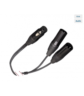 6 Mts / "Y" CANON (1-XLR Hembra a 2-XLR Macho) 