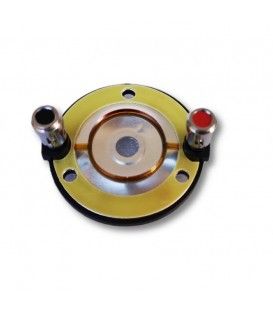 T35 MEMB.APS (RECAMBIO)