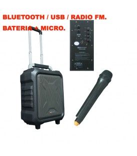 MAM 90 USB MKII (BLUETOOTH / FM / USB / ECHO) ENT DE MICRO Y GUITARRA