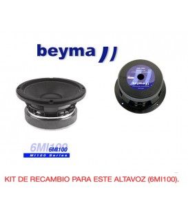 M.Beyma 6MI100