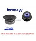 M.Beyma 6MI100