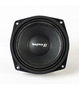 PRO-6W/Nd (300W / 150 WRMS / 4Ω)