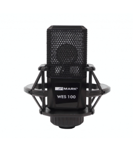 WES 100 (DE ESTUDIO / MICRO + CABLE 5 MTS + SOPORTE CON SUSPENSIÓN)