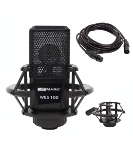 WES 100 (DE ESTUDIO / MICRO + CABLE 5 MTS + SOPORTE CON SUSPENSIÓN)