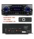 AV-460 (BLUETOOTH / USB / ECO / 2 MICROS) (12V ó 220V) 2 x 250 WMAX