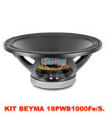 M.Beyma 18PWB100Fe/S