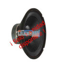 FPW-250 (250W / 125W RMS)