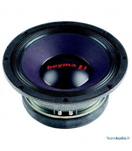 PRO 10MI (700W / 350 WRMS)