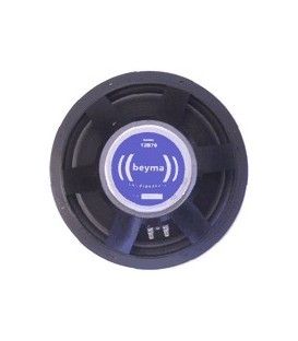 12BR70 (250W / 125W RMS)