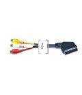 CONVERTIDOR DE EUROCONECTOR A AUDIO-VIDEO EN RCA