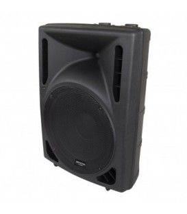 PSA-12 BIAMPLIFICADA (400W / 200W RMS)