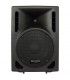 PS-08 (250W / 125W RMS)