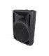 PS-08 (250W / 125W RMS)