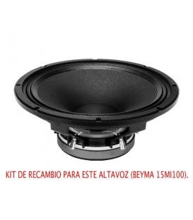 M. Beyma 15MI100