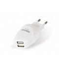 ADAPTADOR ESTABILIZADO PARA RECARGA DE 2 USB (2100mA)