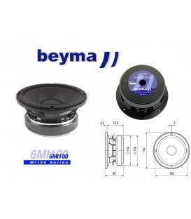 6MI100 (500W / 250W RMS)