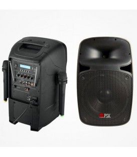 SISTEMA MULTIFUNCIONAL (2 MICROS INALAMBRICOS + RADIO + USB)