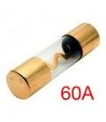 FUSIBLE 60A (XL/AGU) 