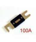 FUSIBLE 100A (ANL) 