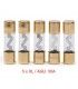KIT DE 5 FUSIBLES 50A (XL-AGU) 