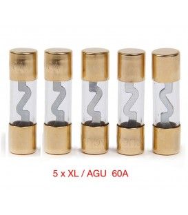 KIT DE 5 FUSIBLES 60A (XL-AGU) 