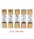 KIT DE 5 FUSIBLES 60A (XL-AGU) 