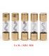KIT DE 5 FUSIBLES 60A (XL-AGU) 