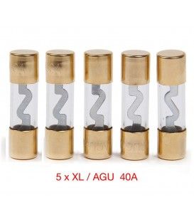 KIT DE 5 FUSIBLES 40A (XL-AGU) 