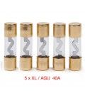 KIT DE 5 FUSIBLES 40A (XL-AGU) 